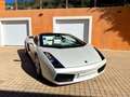 Lamborghini Gallardo Gallardo Spyder 5.0 V10 E-Gear Blanco - thumbnail 1