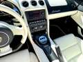 Lamborghini Gallardo Gallardo Spyder 5.0 V10 E-Gear Blanco - thumbnail 12