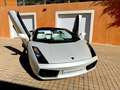 Lamborghini Gallardo Gallardo Spyder 5.0 V10 E-Gear Blanco - thumbnail 4