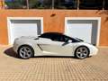 Lamborghini Gallardo Gallardo Spyder 5.0 V10 E-Gear Blanco - thumbnail 9