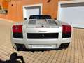 Lamborghini Gallardo Gallardo Spyder 5.0 V10 E-Gear Blanco - thumbnail 6