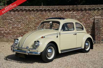 Volkswagen Kever 1200 PRICE REDUCTION Completely restored and overh