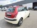 Lancia Ypsilon 1.4i Airco panoramische dak GARANTIE Wit - thumbnail 7