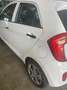 Kia Picanto Picanto 1.0 Style 5p Bianco - thumbnail 4