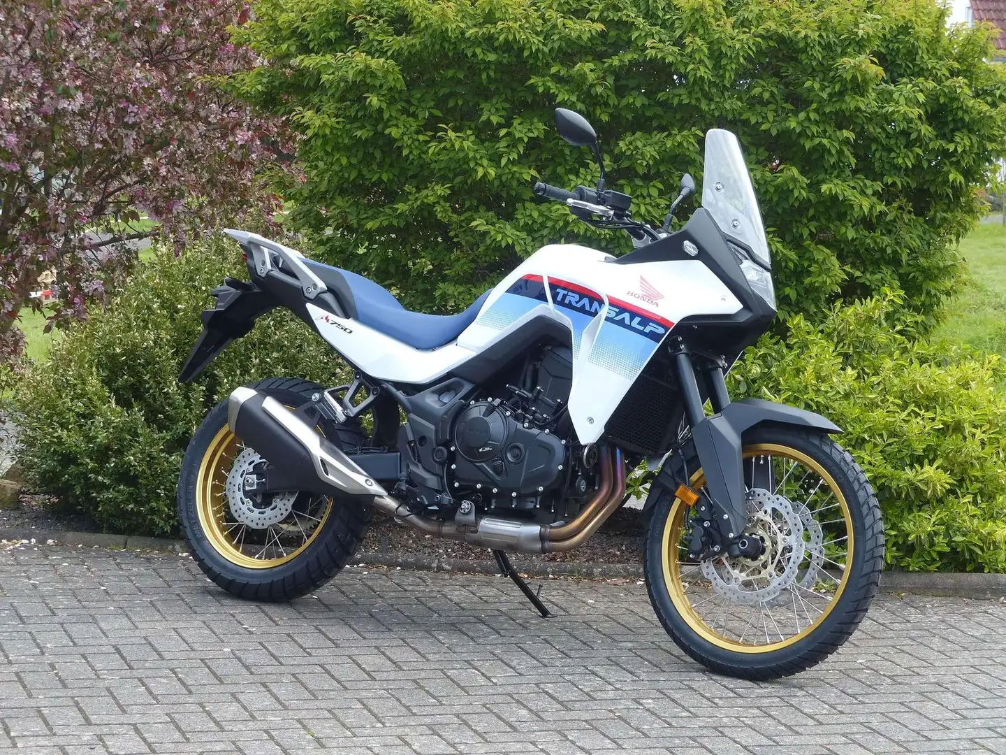 Honda XL 750 Transalp Mod. 2025 Alb - 1