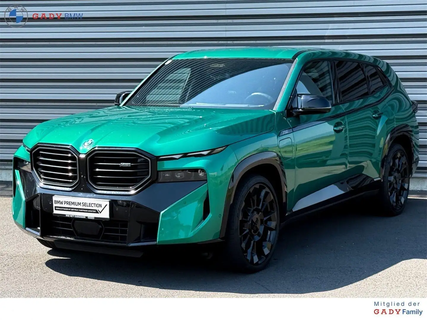BMW XM 50e Grün - 1