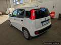 Fiat Panda Panda 1.3 mjt 16v AUTOCARRO 4 POSTI 3208511467 Bianco - thumbnail 8