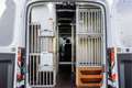 Ford Transit 2.0 TDCI L3H2 | Euro 6 | 130 PK | Diertransport / Weiß - thumbnail 11
