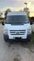 Ford Transit 300 K TDCi Pkw VA S&S Basis - thumbnail 1