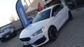 CUPRA Leon Leon 2020 1.5 tsi 150cv ATC Blanc - thumbnail 1