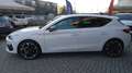 CUPRA Leon Leon 2020 1.5 tsi 150cv ATC Blanc - thumbnail 8