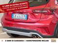 Ford Focus active 1.0 ecoboost h x 125cv powershift Červená - thumbnail 18