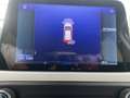 Ford Focus Focus SW 1.5 ecoblue Business Co-pilot s Grigio - thumbnail 17