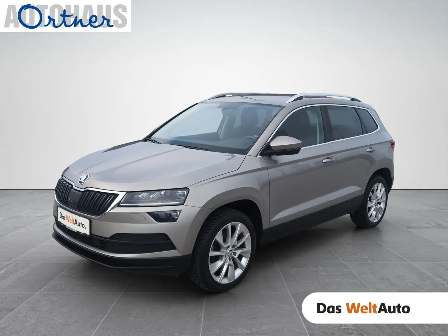 Skoda Karoq Style TDI DSG Braun - 1