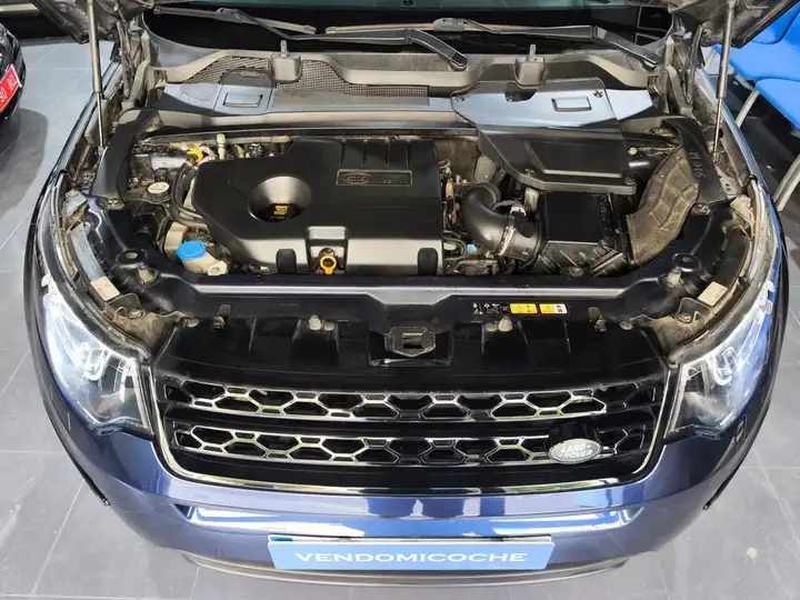 Land Rover Discovery Sport 2019, foto 14