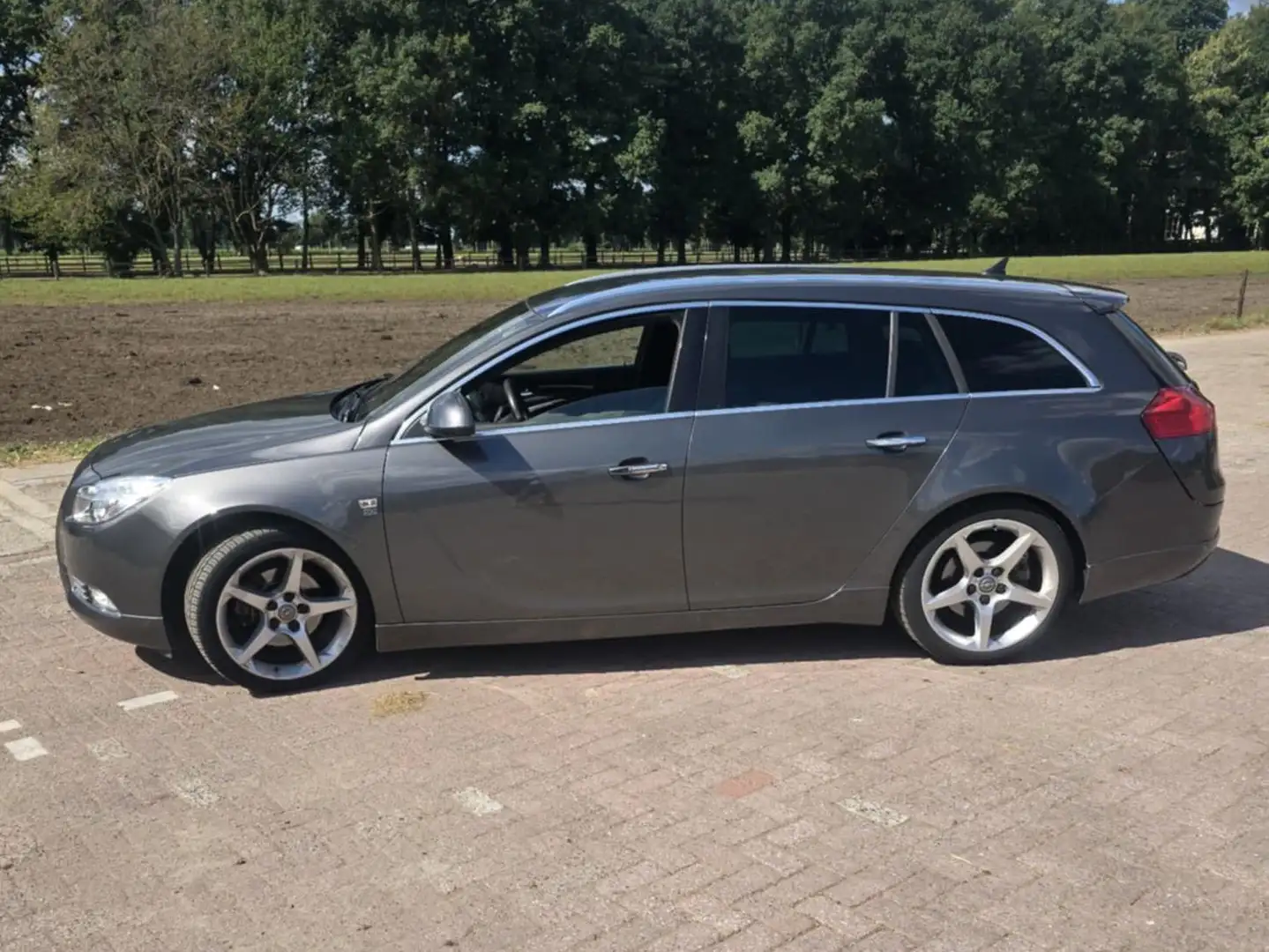 Opel Insignia Сірий - 1