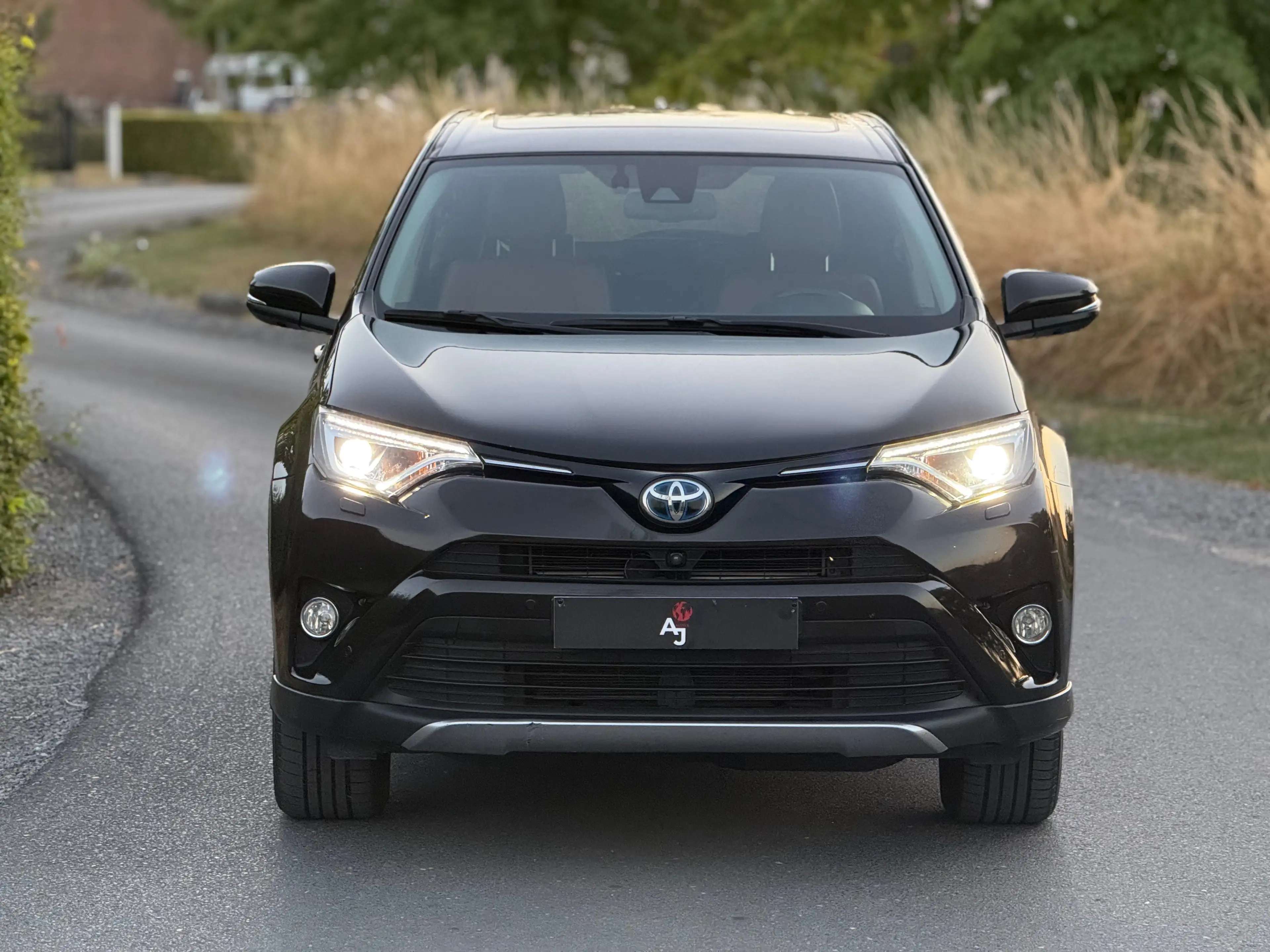 Toyota RAV 4 RAV4 Hybrid 2.5i e-AWD Premium CVT — photo 3