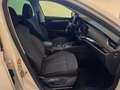 Skoda Octavia 2.0 TDI AUT. DPF Style*ACC*SHZ*LED* Weiß - thumbnail 10