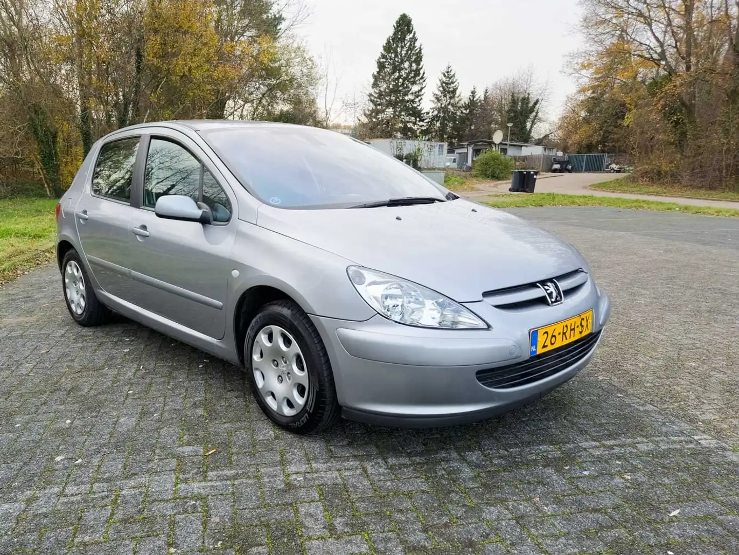 Peugeot 307 1.6-16V XT Premium Argent - 2