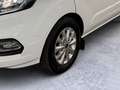 Ford Tourneo Custom 320 L1H1 VA Autm. Titanium Blanc - thumbnail 6