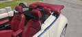 Volkswagen New Beetle Cabrio 1.9 tdi limited Red Edition - thumbnail 3