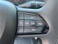 Fiat Ducato L2H2 MY25  MAXI 35 140PS/RFK/KLIMA/260°/ 103 kW... Weiß - thumbnail 12