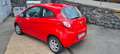 Ford Ka/Ka+ Champions Edition Rojo - thumbnail 2