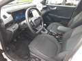 Ford Puma 1.0 EcoBoost ACC Kamera NAVI LED SHZ Grijs - thumbnail 17