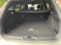 Ford Focus ST- LINE Gris - thumbnail 13