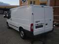 Ford Transit - thumbnail 5