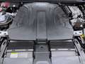 Audi Q8 SUV 50 TDI Q S LINE NAVI eKLAPPE STDHZG LM23 Weiß - thumbnail 18