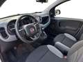 Fiat New Panda 1.0 FireFly Hybrid City Life Blanco - thumbnail 9
