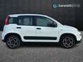 Fiat New Panda 1.0 FireFly Hybrid City Life Blanco - thumbnail 4