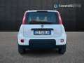 Fiat New Panda 1.0 FireFly Hybrid City Life Blanco - thumbnail 6