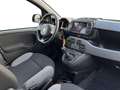 Fiat New Panda 1.0 FireFly Hybrid City Life Blanco - thumbnail 15