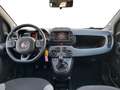 Fiat New Panda 1.0 FireFly Hybrid City Life Blanco - thumbnail 11