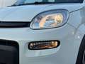 Fiat New Panda 1.0 FireFly Hybrid City Life Blanco - thumbnail 26