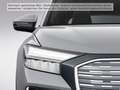 Audi Q4 e-tron Q4 45 e-tron quattro Rückkam/Multilenk/Sitzhzg Grau - thumbnail 6