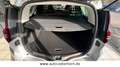Renault Grand Scenic BLUE dCi 120 Business Edition Grau - thumbnail 7