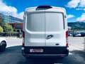 Ford Transit 350 2.0TDCi EcoBlue 130 aut. PL-TM Furgone Entry Bianco - thumbnail 5