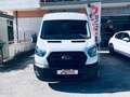 Ford Transit 350 2.0TDCi EcoBlue 130 aut. PL-TM Furgone Entry Bianco - thumbnail 9