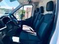 Ford Transit 350 2.0TDCi EcoBlue 130 aut. PL-TM Furgone Entry Bianco - thumbnail 15