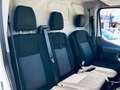 Ford Transit 350 2.0TDCi EcoBlue 130 aut. PL-TM Furgone Entry Bianco - thumbnail 13