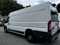Peugeot Boxer 435 L4H2 Pro Avantage PlusEdition BlueHDi 160 Stop Weiß - thumbnail 13