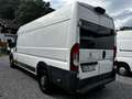 Peugeot Boxer 435 L4H2 Pro Avantage PlusEdition BlueHDi 160 Stop Weiß - thumbnail 2