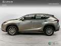 Lexus NX 200t SUV BUSINESS 2.5 Híbrido Gasolina (197CV) Transmi Gris - thumbnail 3