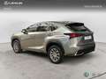 Lexus NX 200t SUV BUSINESS 2.5 Híbrido Gasolina (197CV) Transmi Gris - thumbnail 2