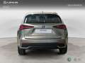 Lexus NX 200t SUV BUSINESS 2.5 Híbrido Gasolina (197CV) Transmi Gris - thumbnail 4