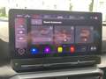 CUPRA Formentor 2.0 TSI 4Drive VZ PANO+NAV+BEATS+PDC Weiß - thumbnail 38