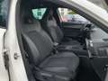 CUPRA Formentor 2.0 TSI 4Drive VZ PANO+NAV+BEATS+PDC Weiß - thumbnail 25